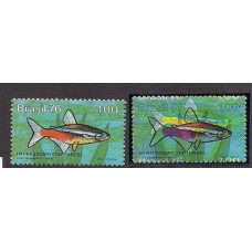0939-Peixe de Agua Doce Hyphessobrycon, com cores deslocadas