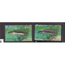 0942-Peixe de Agua Doce Jacundá, com cores deslocadas