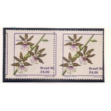 1164-Orquídia Zygopetalum em par com legenda e contorno roxo deslocados para a direita