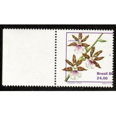 1164-Orquídia Zygopetalum com legenda e contorno roxo deslocados para a direita